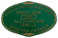 medaille-cholet-2018